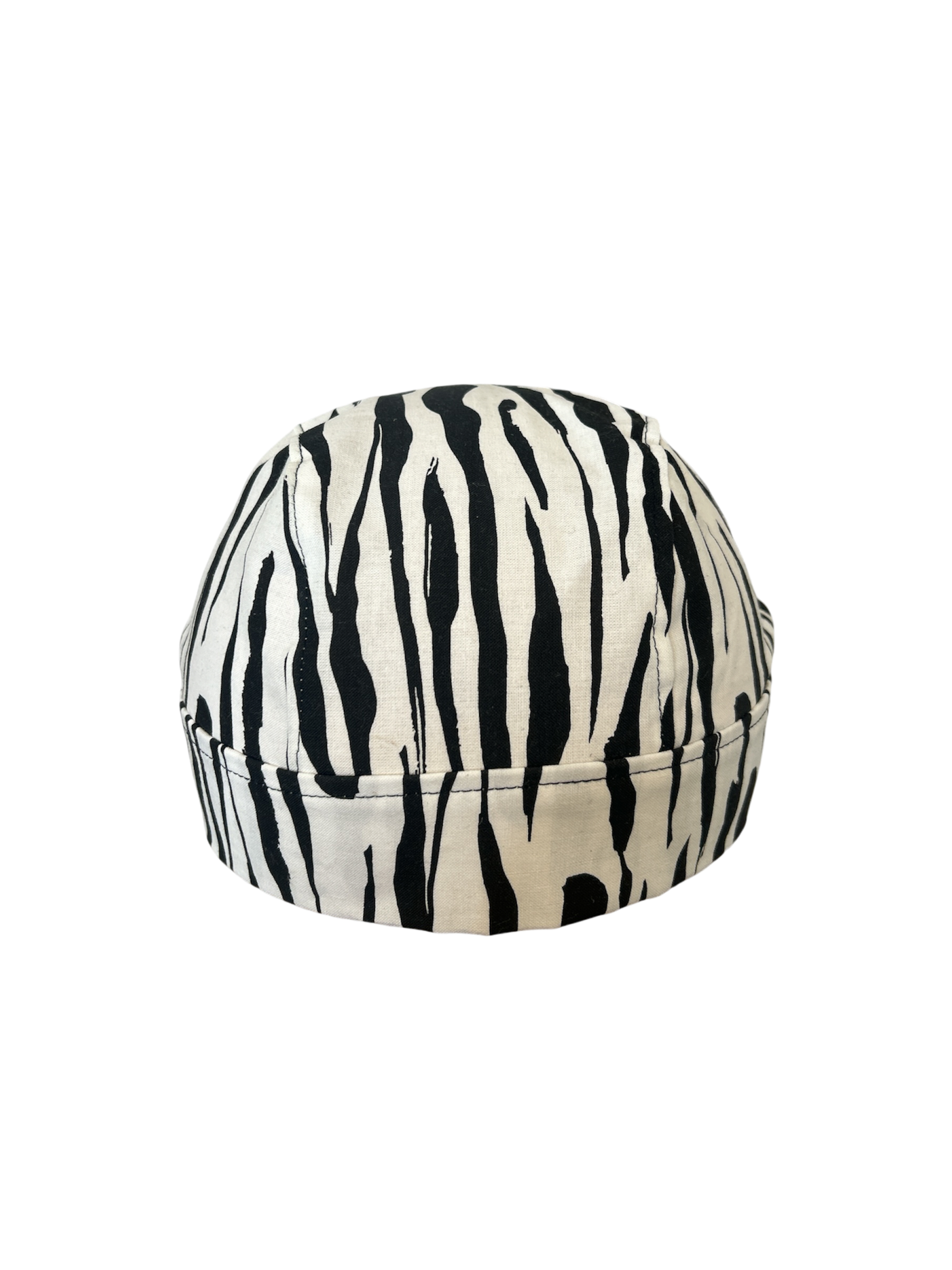 wild zebra